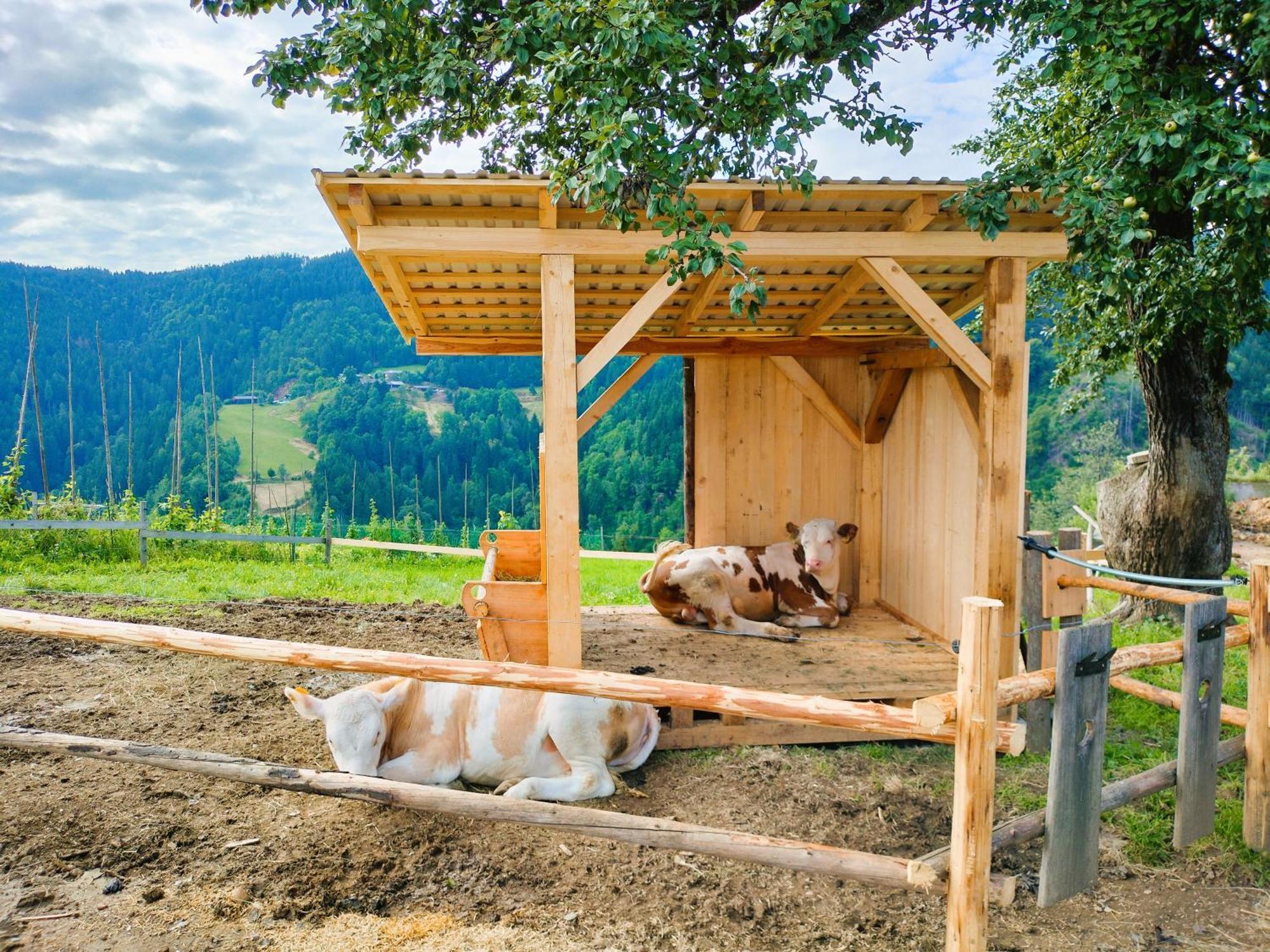 Apartments Organic Tourist Farm Gradisnik Prevalje Zewnętrze zdjęcie