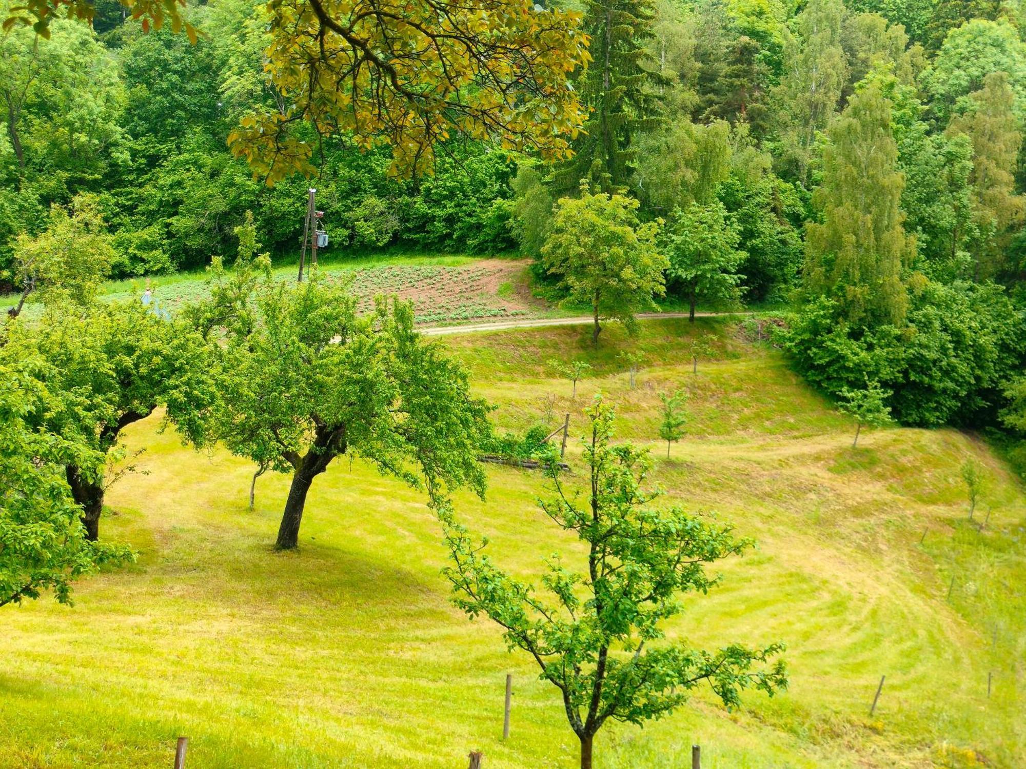 Apartments Organic Tourist Farm Gradisnik Prevalje Zewnętrze zdjęcie