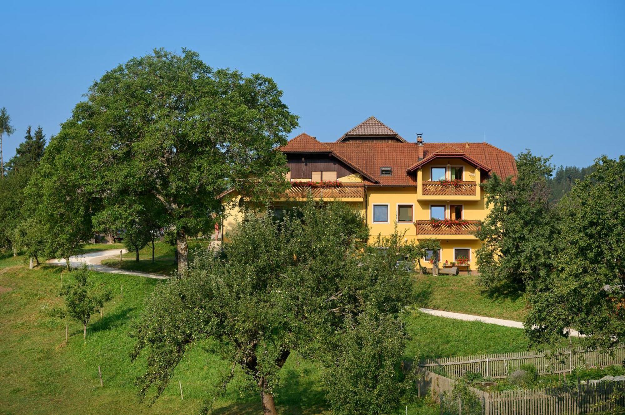 Apartments Organic Tourist Farm Gradisnik Prevalje Zewnętrze zdjęcie