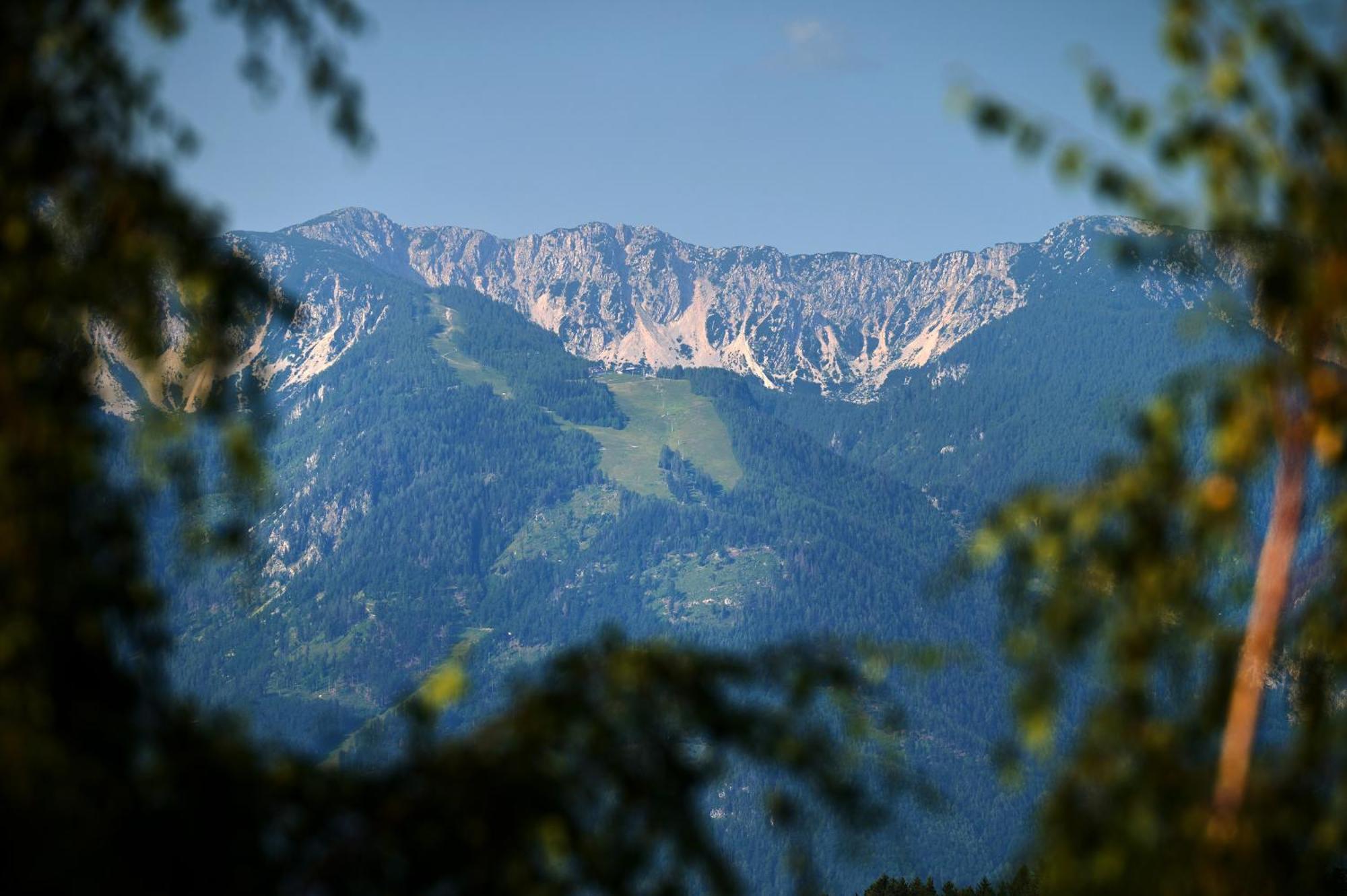 Apartments Organic Tourist Farm Gradisnik Prevalje Zewnętrze zdjęcie