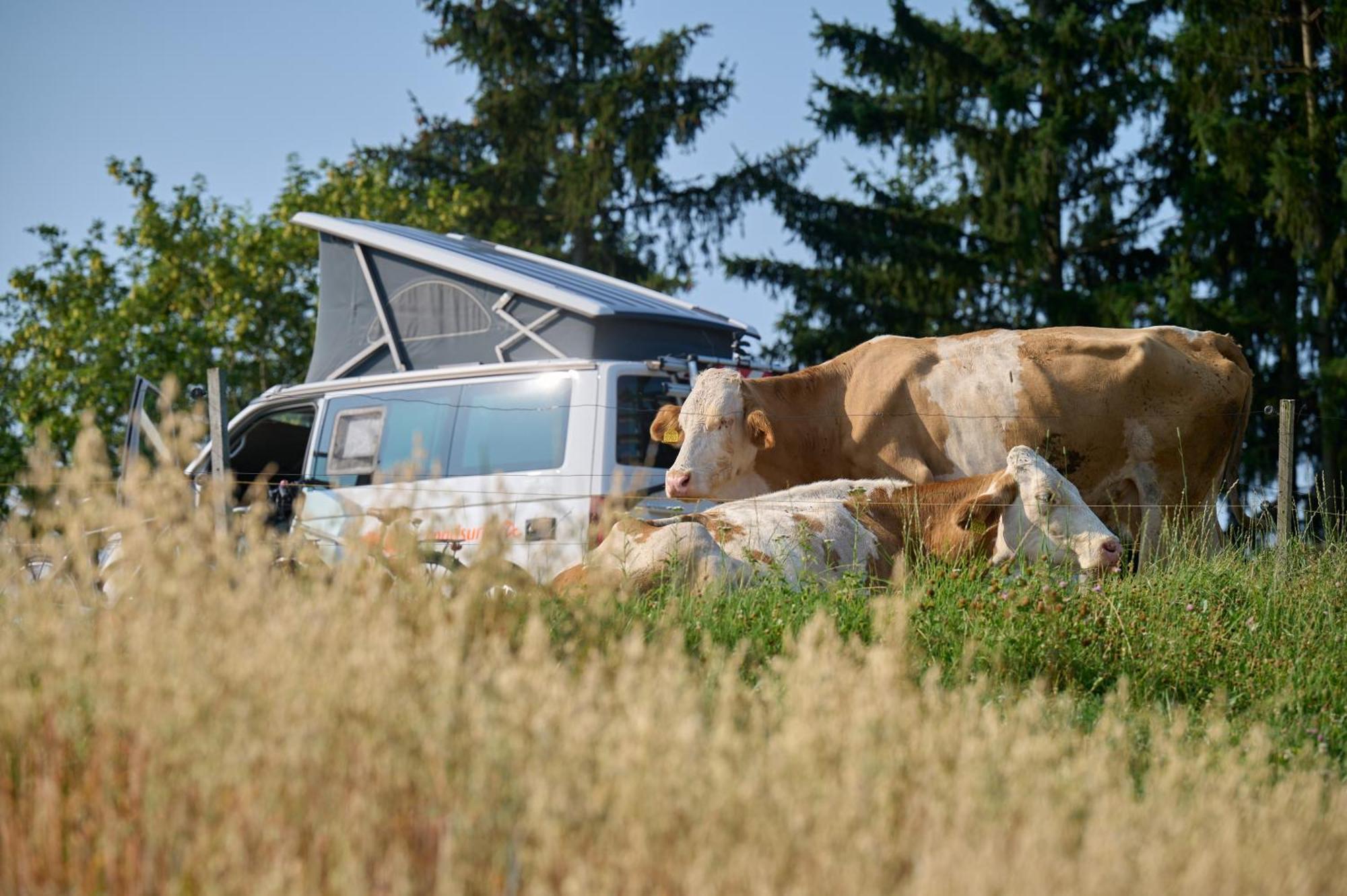 Apartments Organic Tourist Farm Gradisnik Prevalje Zewnętrze zdjęcie