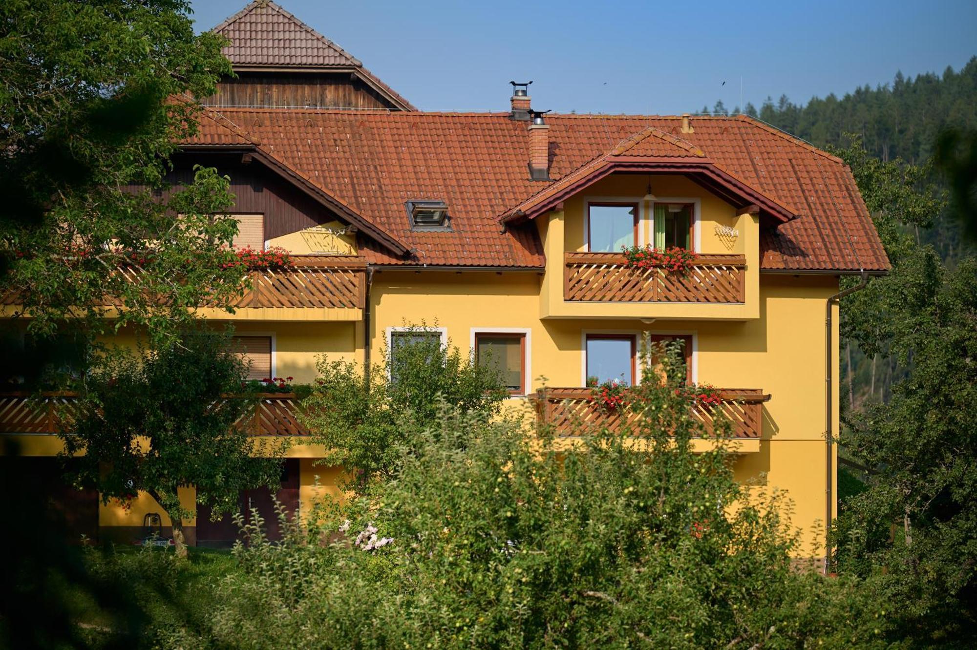 Apartments Organic Tourist Farm Gradisnik Prevalje Zewnętrze zdjęcie
