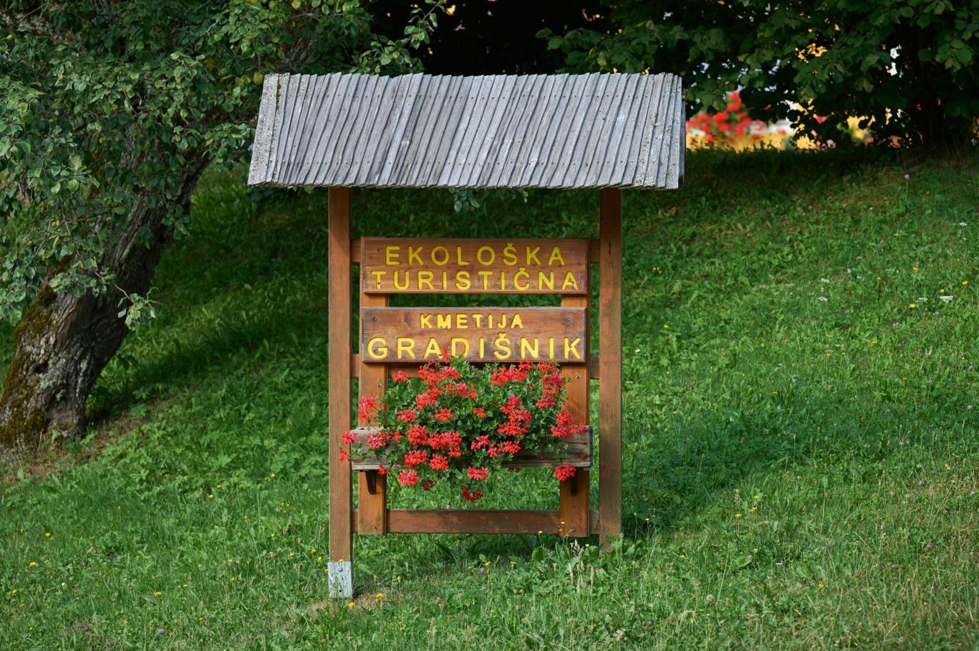 Apartments Organic Tourist Farm Gradisnik Prevalje Zewnętrze zdjęcie