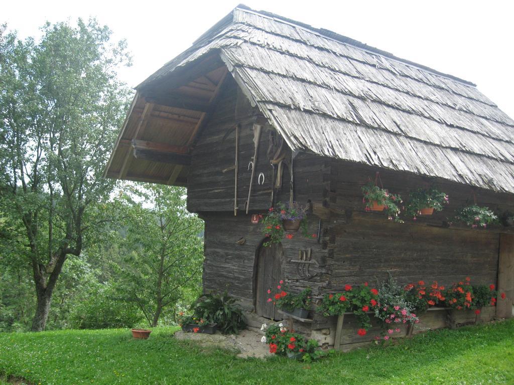 Apartments Organic Tourist Farm Gradisnik Prevalje Zewnętrze zdjęcie