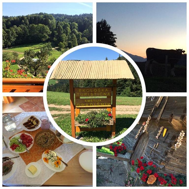 Apartments Organic Tourist Farm Gradisnik Prevalje Zewnętrze zdjęcie