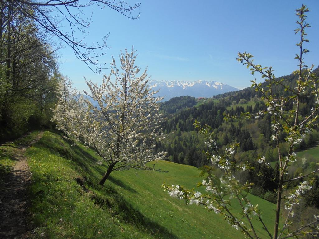 Apartments Organic Tourist Farm Gradisnik Prevalje Zewnętrze zdjęcie